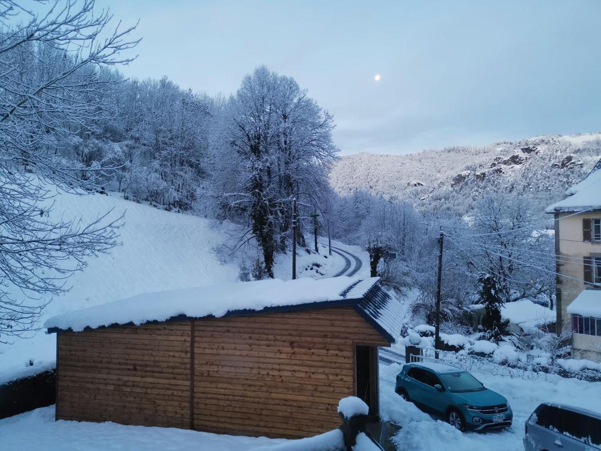 Maison D'Hote, Gite, La Maisonnette Vic-sur-Cère Exteriér fotografie